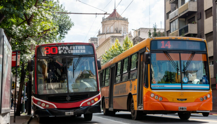 boleto colectivos 1 millon de pesos