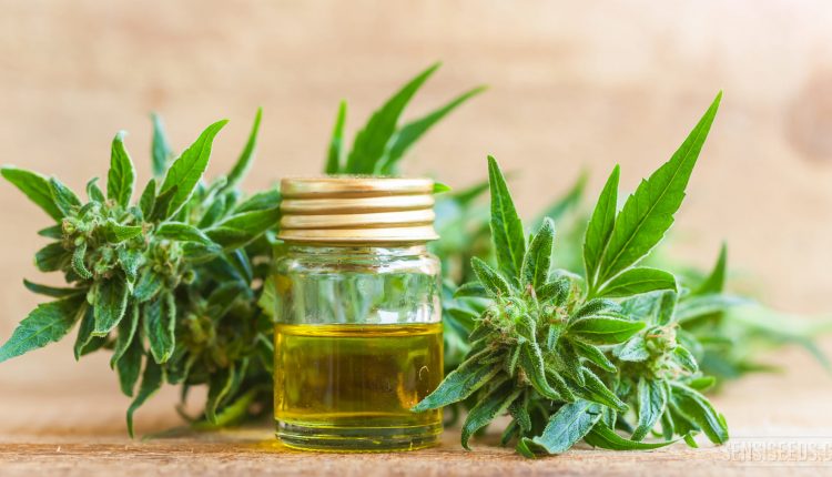 aceite de cannabis