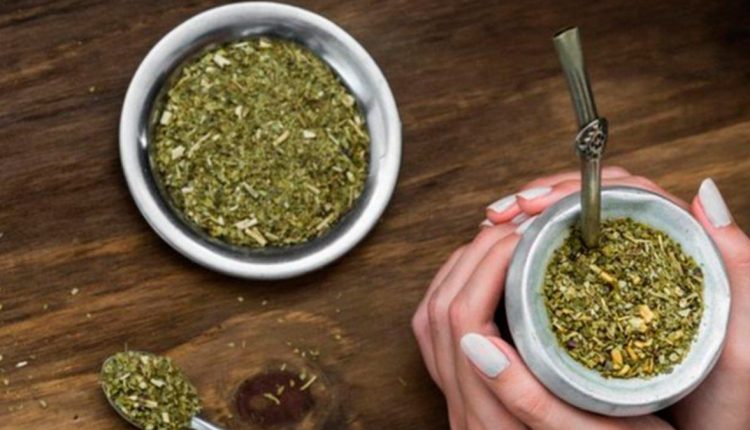 yerba mate
