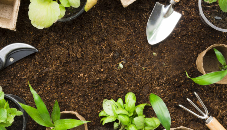 los talleres de jardinería