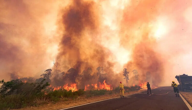incendios
