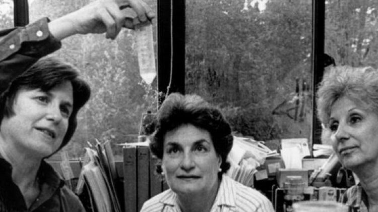 ciencia y derechos humanos