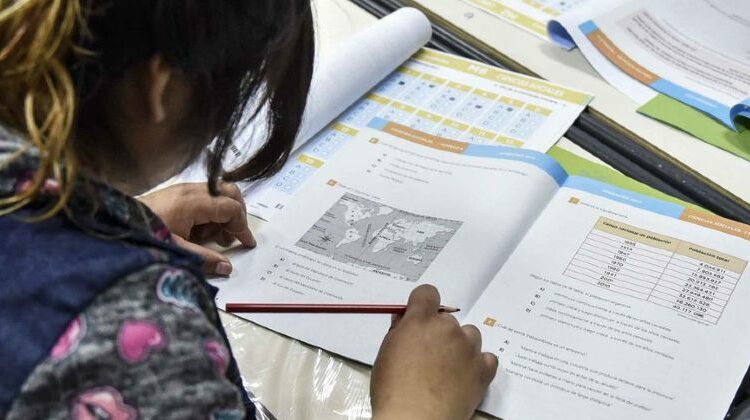 Cómo Analizar Los Resultados De Las Pruebas Pisa En Argentina Elnumeral 6452